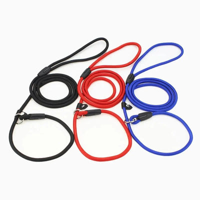 https://cdn.shopify.com/s/files/1/0647/9170/7830/files/laisse-lasso-pour-chien-130cm-8575865.webp?v=1777924333