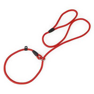 https://cdn.shopify.com/s/files/1/0647/9170/7830/files/laisse-lasso-pour-chien-130cm-8951885.webp?v=1777924334