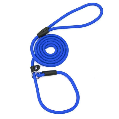 https://cdn.shopify.com/s/files/1/0647/9170/7830/files/laisse-lasso-pour-chien-1m50-4005116.webp?v=1777924212