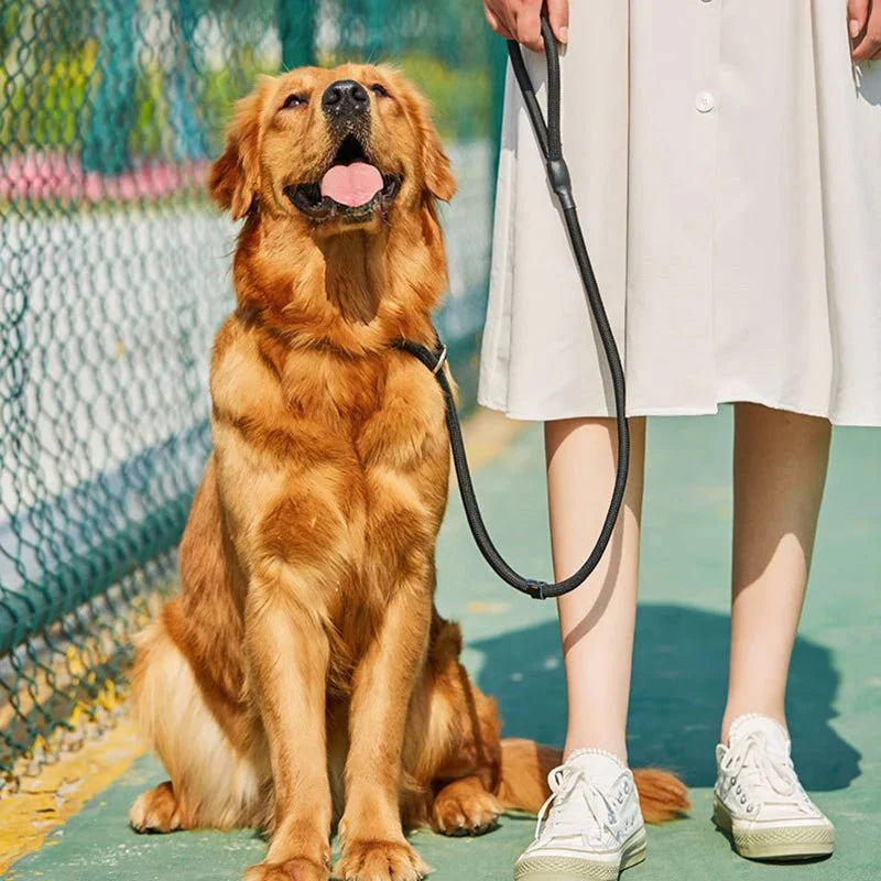 https://cdn.shopify.com/s/files/1/0647/9170/7830/files/laisse-lasso-pour-chien-1m50-5701677.webp?v=1777924212