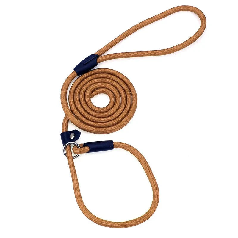 https://cdn.shopify.com/s/files/1/0647/9170/7830/files/laisse-lasso-pour-chien-1m50-5701677.webp?v=1777924212