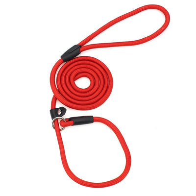 https://cdn.shopify.com/s/files/1/0647/9170/7830/files/laisse-lasso-pour-chien-1m50-5915873.webp?v=1777924212