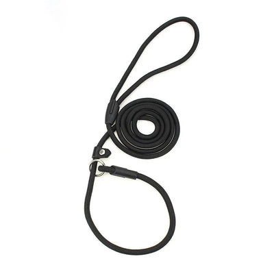 https://cdn.shopify.com/s/files/1/0647/9170/7830/files/laisse-lasso-pour-chien-1m50-9707925.webp?v=1777924212
