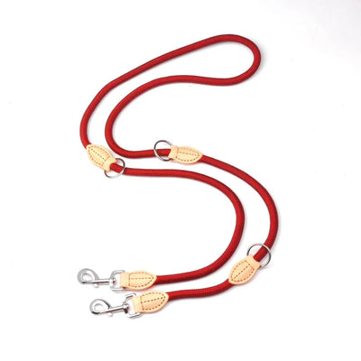 https://cdn.shopify.com/s/files/1/0647/9170/7830/files/laisse-lasso-pour-chien-3678674.webp?v=1777924393