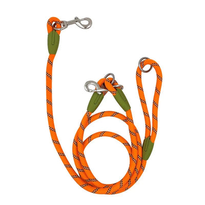 https://cdn.shopify.com/s/files/1/0647/9170/7830/files/laisse-lasso-pour-chiot-1110463.webp?v=1777923736