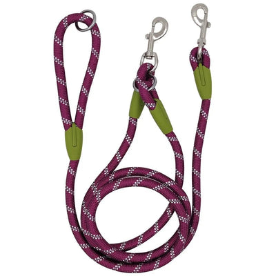 https://cdn.shopify.com/s/files/1/0647/9170/7830/files/laisse-lasso-pour-chiot-2375119.webp?v=1777923737