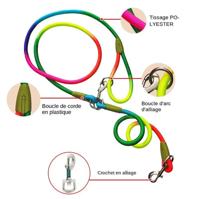 https://cdn.shopify.com/s/files/1/0647/9170/7830/files/laisse-lasso-pour-chiot-5464446.webp?v=1777923737