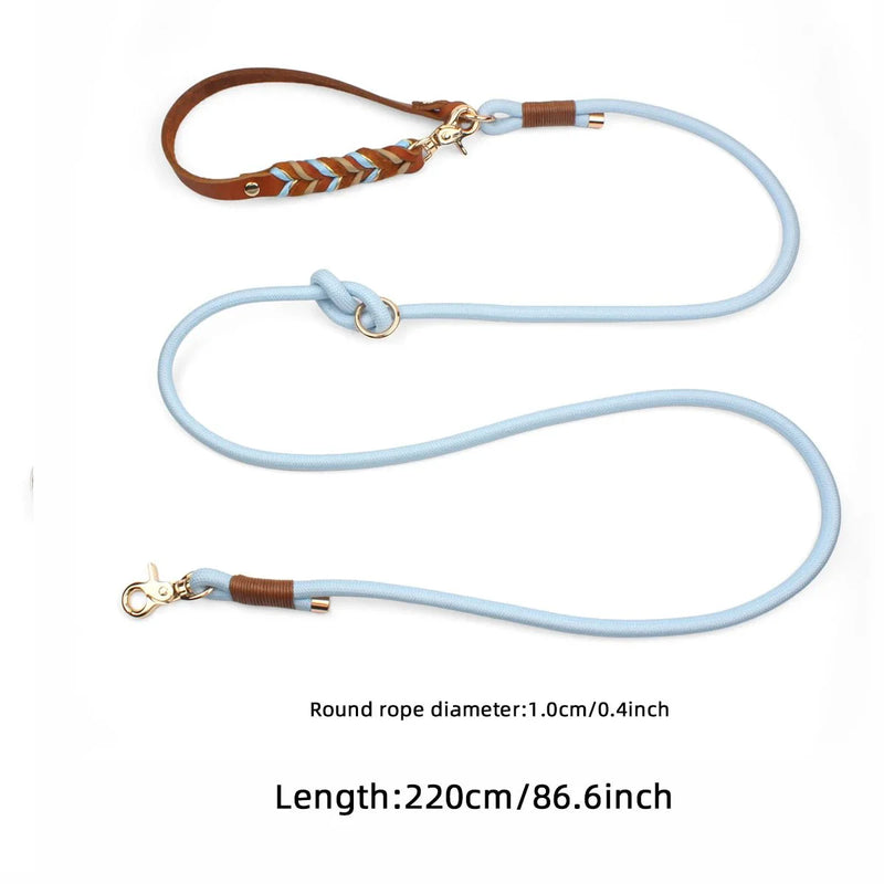 https://cdn.shopify.com/s/files/1/0647/9170/7830/files/laisse-lasso-pour-gros-chien-9744258.webp?v=1777923735