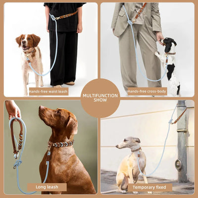 https://cdn.shopify.com/s/files/1/0647/9170/7830/files/laisse-lasso-pour-gros-chien-7541554.webp?v=1777923735