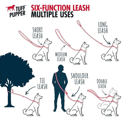 https://cdn.shopify.com/s/files/1/0647/9170/7830/files/laisse-lasso-pour-gros-chien-7602564.webp?v=1777923735