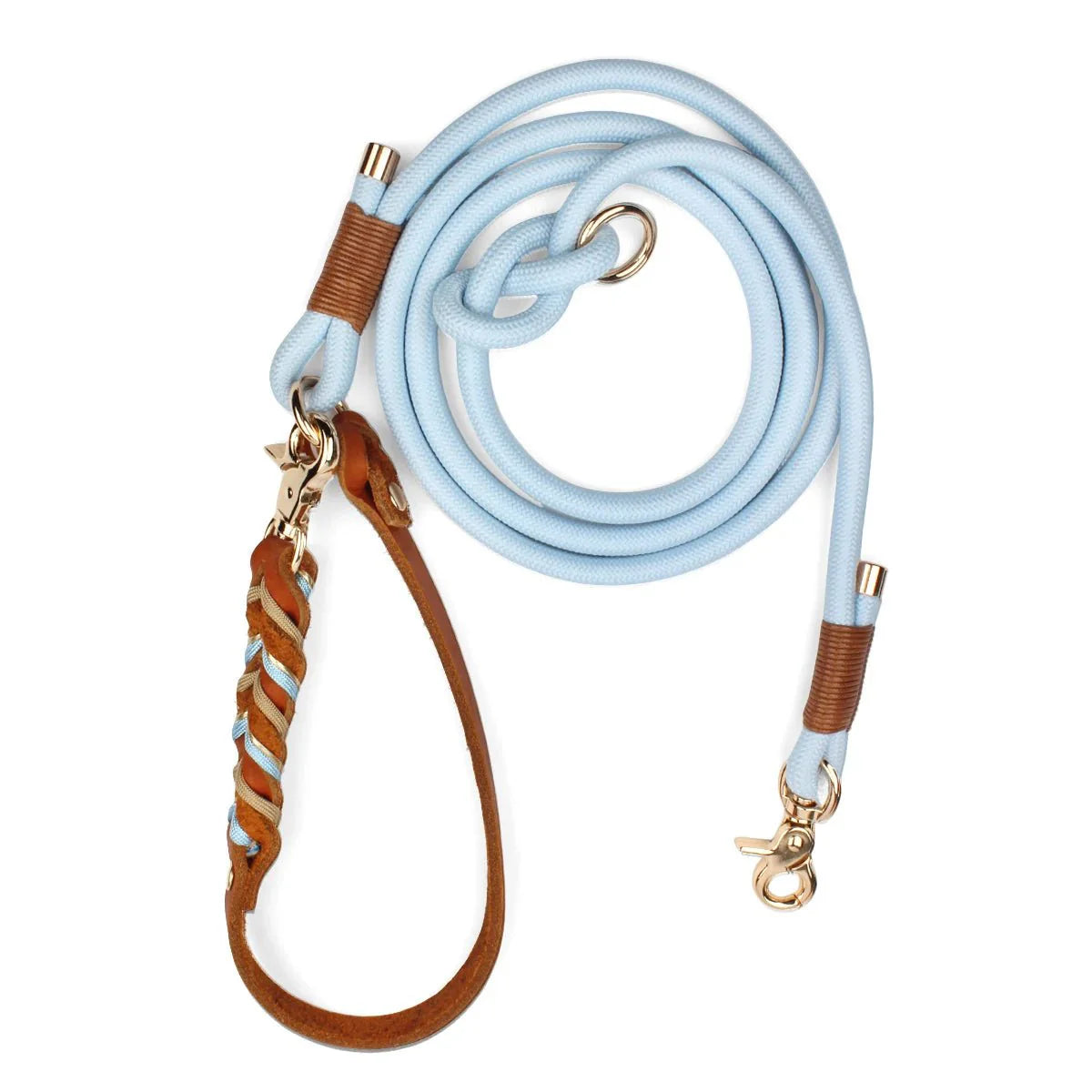 https://cdn.shopify.com/s/files/1/0647/9170/7830/files/laisse-lasso-pour-gros-chien-9744258.webp?v=1777923735