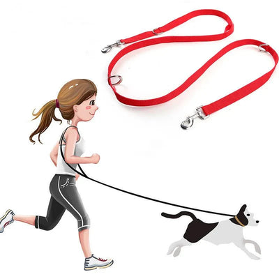 https://cdn.shopify.com/s/files/1/0647/9170/7830/files/laisse-lasso-reflechissante-4418173.webp?v=1777924211