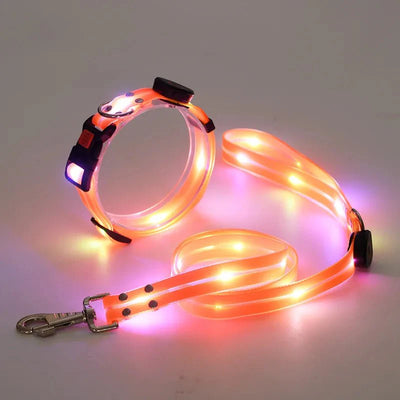 https://cdn.shopify.com/s/files/1/0647/9170/7830/files/laisse-lumineuse-pour-chien-2439210.webp?v=1777923558