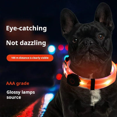 https://cdn.shopify.com/s/files/1/0647/9170/7830/files/laisse-lumineuse-pour-chien-2712344.webp?v=1777923558