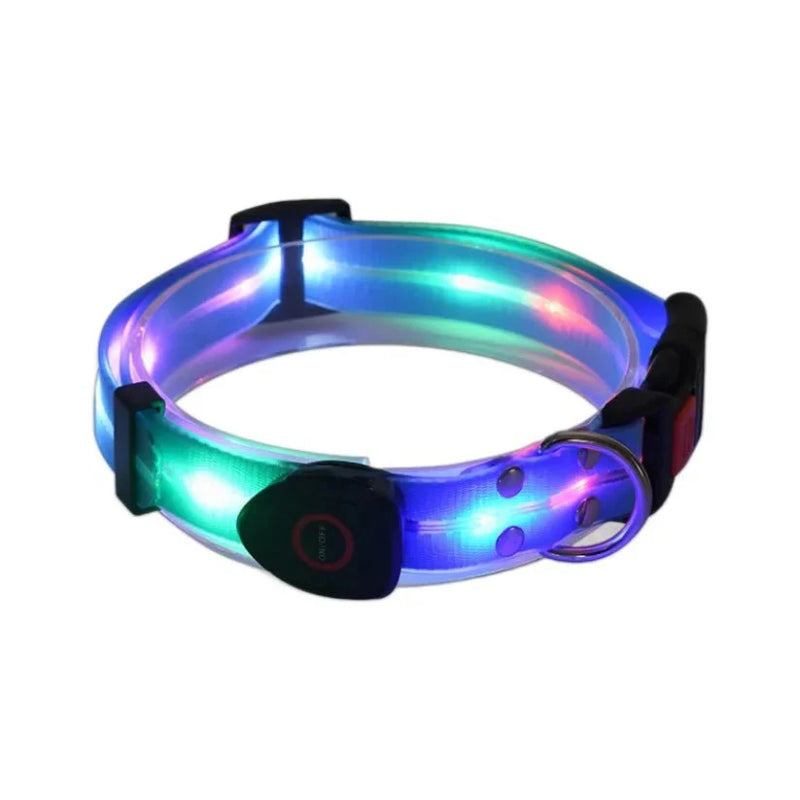 https://cdn.shopify.com/s/files/1/0647/9170/7830/files/laisse-lumineuse-pour-chien-9486532.webp?v=1777923557