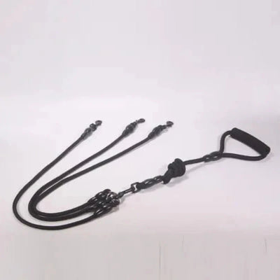 https://cdn.shopify.com/s/files/1/0647/9170/7830/files/laisse-multiple-pour-chien-3105208.webp?v=1777924331