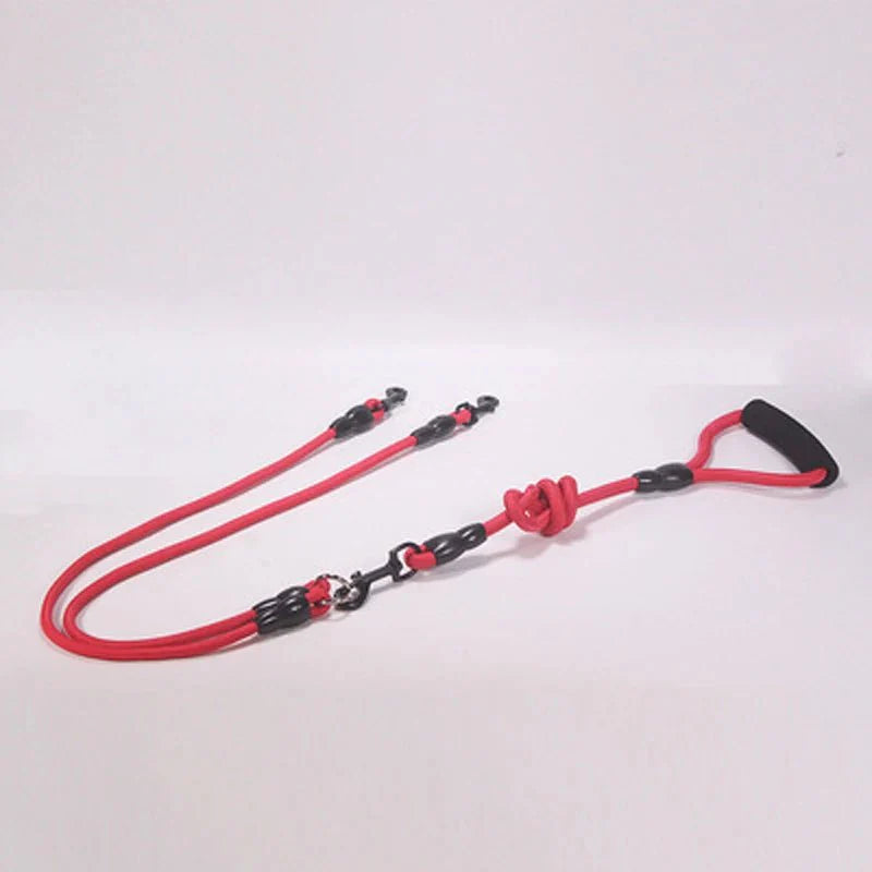 https://cdn.shopify.com/s/files/1/0647/9170/7830/files/laisse-multiple-pour-chien-4752934.webp?v=1777924333