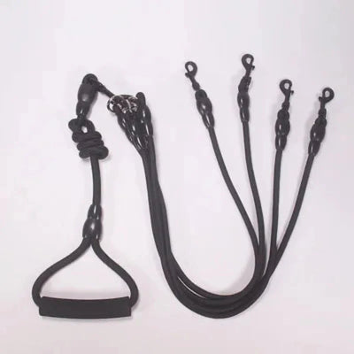 https://cdn.shopify.com/s/files/1/0647/9170/7830/files/laisse-multiple-pour-chien-4644851.webp?v=1777924332
