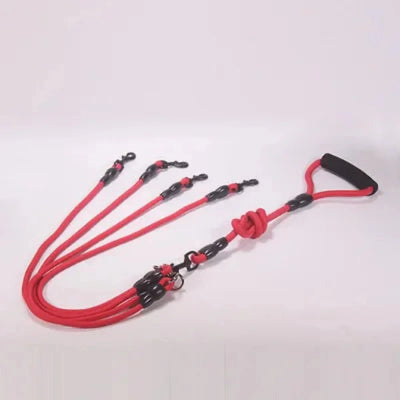 https://cdn.shopify.com/s/files/1/0647/9170/7830/files/laisse-multiple-pour-chien-5016647.webp?v=1777924333