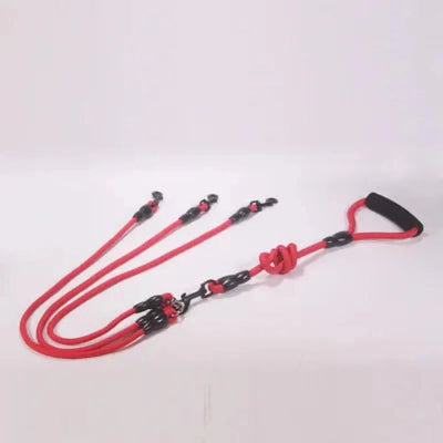 https://cdn.shopify.com/s/files/1/0647/9170/7830/files/laisse-multiple-pour-chien-9413656.webp?v=1777924332