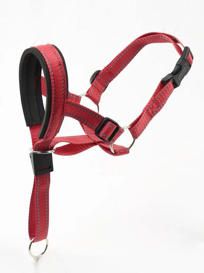 https://cdn.shopify.com/s/files/1/0647/9170/7830/files/laisse-museau-pour-chien-2281157.webp?v=1777923489