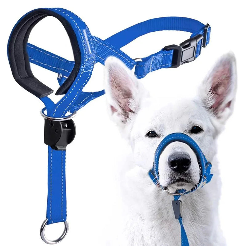https://cdn.shopify.com/s/files/1/0647/9170/7830/files/laisse-museau-pour-chien-2281157.webp?v=1777923489