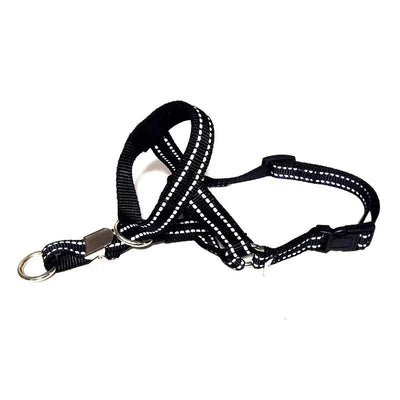 https://cdn.shopify.com/s/files/1/0647/9170/7830/files/laisse-museau-pour-chien-8141225.webp?v=1777923489