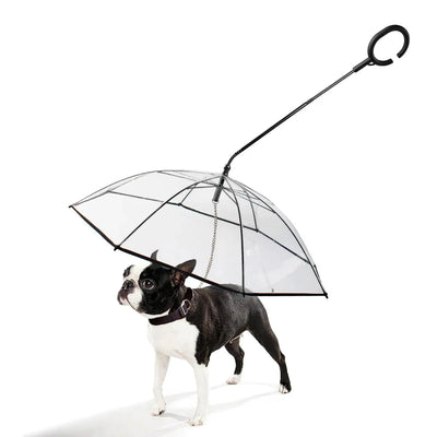 https://cdn.shopify.com/s/files/1/0647/9170/7830/files/laisse-parapluie-pour-chien-9620744.webp?v=1777923971
