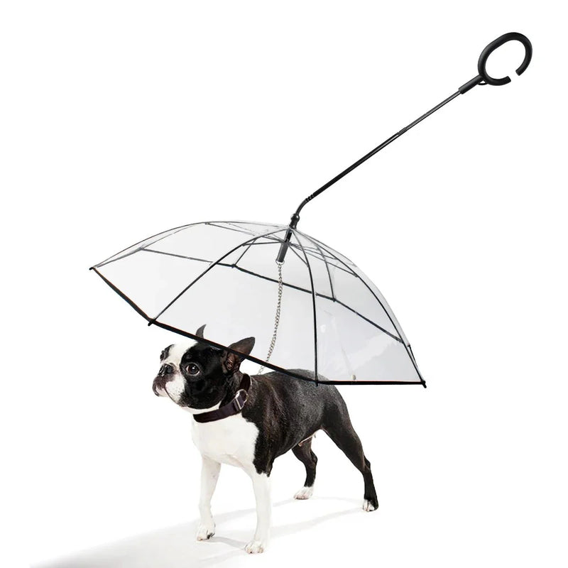 https://cdn.shopify.com/s/files/1/0647/9170/7830/files/laisse-parapluie-pour-chien-5559419.webp?v=1777923970