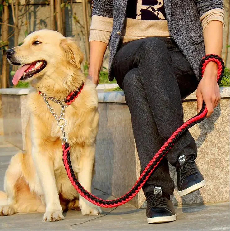 https://cdn.shopify.com/s/files/1/0647/9170/7830/files/laisse-pour-chien-corde-tressee-7886920.webp?v=1777923493
