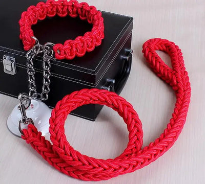 https://cdn.shopify.com/s/files/1/0647/9170/7830/files/laisse-pour-chien-corde-tressee-6718015.webp?v=1777923495