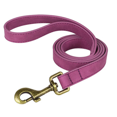 https://cdn.shopify.com/s/files/1/0647/9170/7830/files/laisse-pour-chien-cuir-6777852.webp?v=1777923552