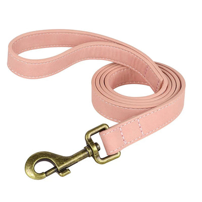 https://cdn.shopify.com/s/files/1/0647/9170/7830/files/laisse-pour-chien-cuir-9643603.webp?v=1777923554