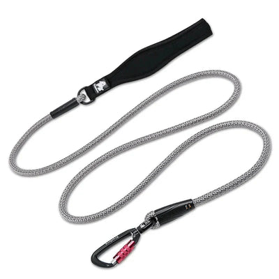 https://cdn.shopify.com/s/files/1/0647/9170/7830/files/laisse-pour-chien-de-chasse-1645506.webp?v=1777923971
