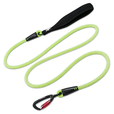https://cdn.shopify.com/s/files/1/0647/9170/7830/files/laisse-pour-chien-de-chasse-3512576.webp?v=1777923971