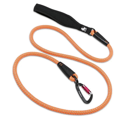 https://cdn.shopify.com/s/files/1/0647/9170/7830/files/laisse-pour-chien-de-chasse-4318644.webp?v=1777923972