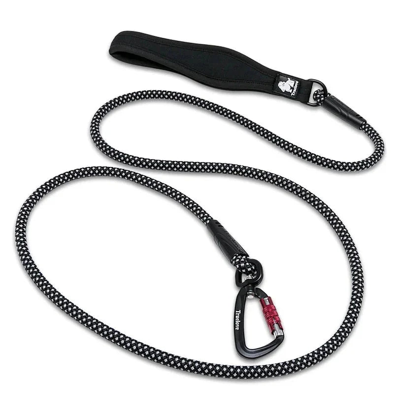 https://cdn.shopify.com/s/files/1/0647/9170/7830/files/laisse-pour-chien-de-chasse-9802445.webp?v=1777923972