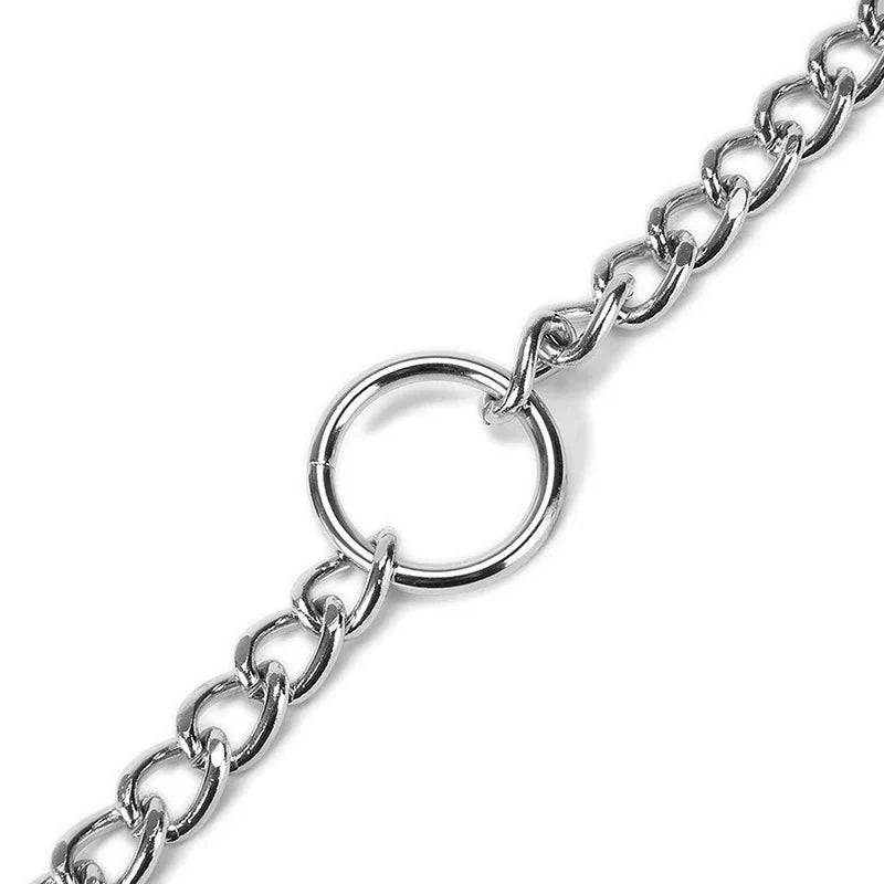 https://cdn.shopify.com/s/files/1/0647/9170/7830/files/laisse-pour-chien-double-mousqueton-3502934.webp?v=1777923608