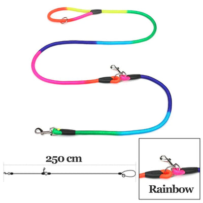https://cdn.shopify.com/s/files/1/0647/9170/7830/files/laisse-pour-chien-en-nylon-6399108.webp?v=1777923668