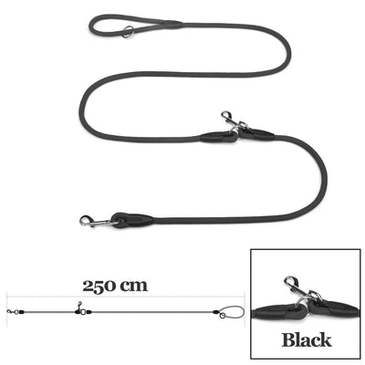 https://cdn.shopify.com/s/files/1/0647/9170/7830/files/laisse-pour-chien-en-nylon-9079747.webp?v=1777923669