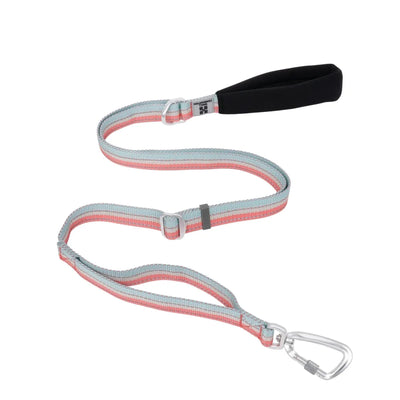 https://cdn.shopify.com/s/files/1/0647/9170/7830/files/laisse-pour-chien-fluo-1405372.webp?v=1777923800