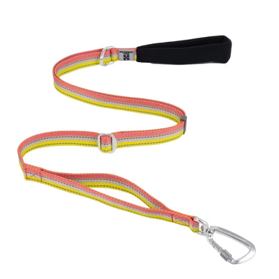 https://cdn.shopify.com/s/files/1/0647/9170/7830/files/laisse-pour-chien-fluo-2243251.webp?v=1777923799