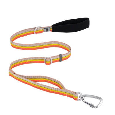 https://cdn.shopify.com/s/files/1/0647/9170/7830/files/laisse-pour-chien-fluo-4755069.webp?v=1777923799