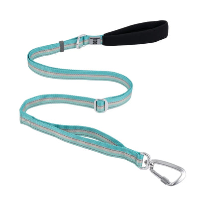 https://cdn.shopify.com/s/files/1/0647/9170/7830/files/laisse-pour-chien-fluo-5887933.webp?v=1777923799