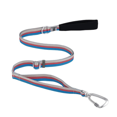 https://cdn.shopify.com/s/files/1/0647/9170/7830/files/laisse-pour-chien-fluo-7305641.webp?v=1777923799