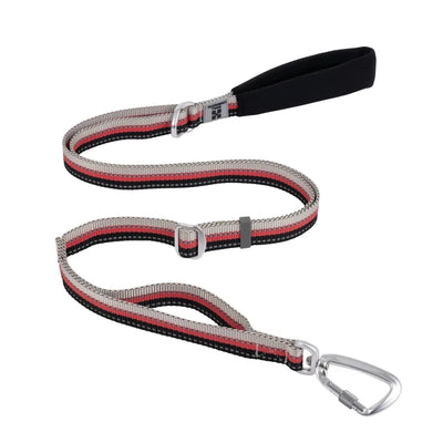 https://cdn.shopify.com/s/files/1/0647/9170/7830/files/laisse-pour-chien-fluo-8943485.webp?v=1777923800