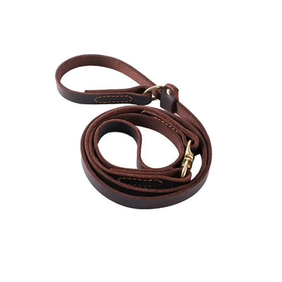 https://cdn.shopify.com/s/files/1/0647/9170/7830/files/laisse-pour-chien-husky-4571823.webp?v=1777923914