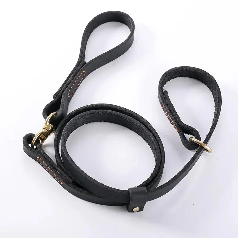https://cdn.shopify.com/s/files/1/0647/9170/7830/files/laisse-pour-chien-husky-4571823.webp?v=1777923914