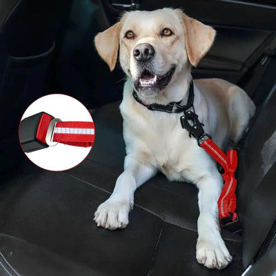 https://cdn.shopify.com/s/files/1/0647/9170/7830/files/laisse-pour-chien-indestructible-3342507.webp?v=1777923557