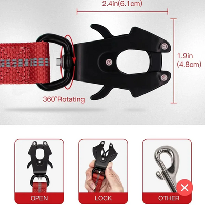 https://cdn.shopify.com/s/files/1/0647/9170/7830/files/laisse-pour-chien-indestructible-6129401.webp?v=1777923557